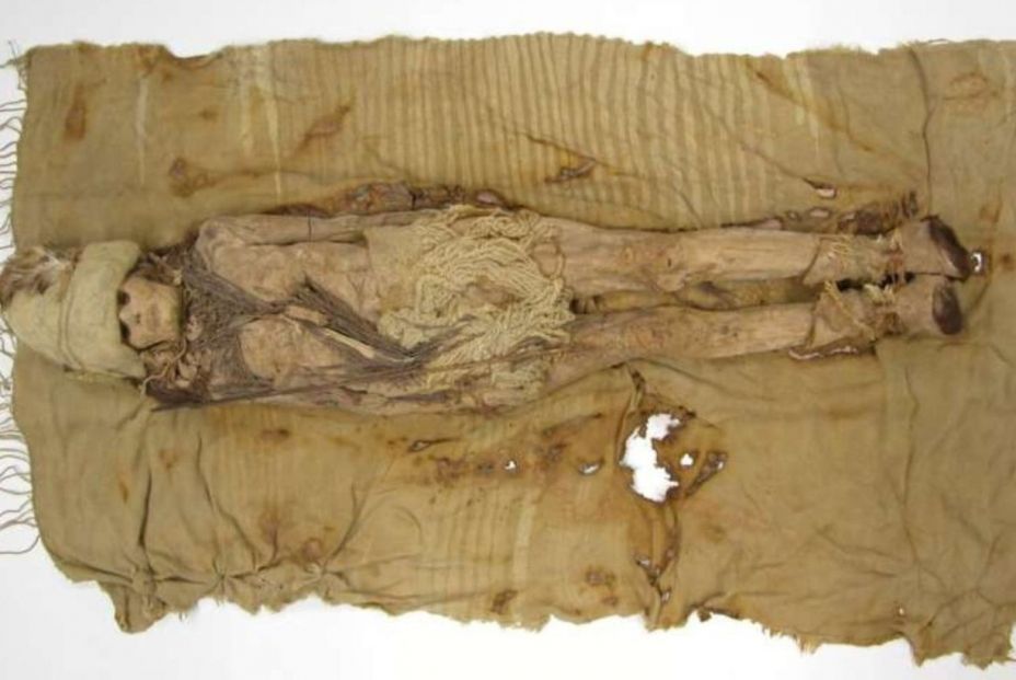 Descubren restos de queso kéfir en momias de hace 3.600 años Descubren restos de queso kéfir en momias de hace 3.600 años