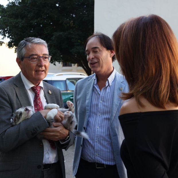 malaga plan adoptar mascotas mayores malaga plan adoptar mascotas mayores