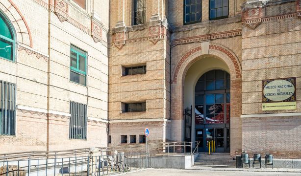 Los insectos urbanos se convierten en protagonistas en una muestra fotográfica en Madrid