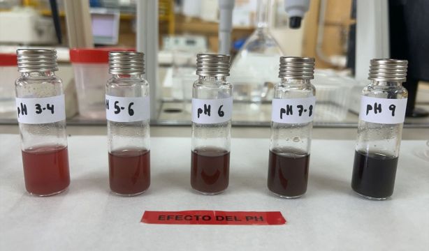 Desarrollan un biosensor que identifica si un alimento fresco está en buen estado