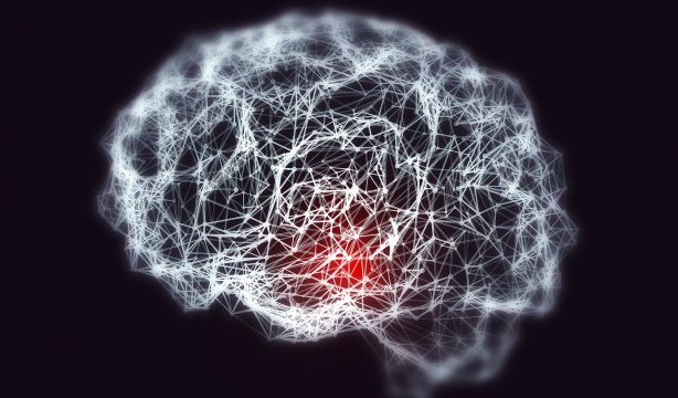 Crean el primer mapa de las conexiones neuronales de un cerebro adulto (Bigstock)