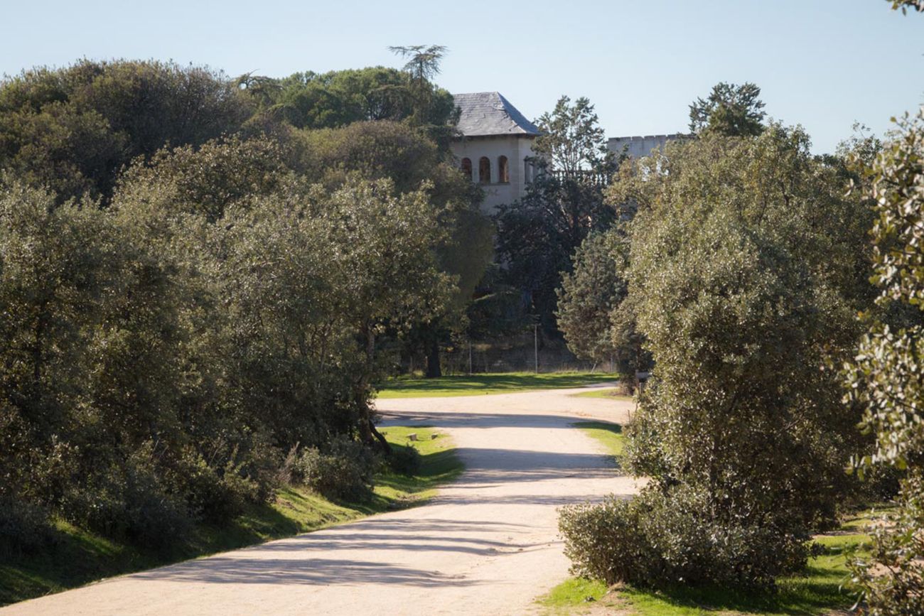 Recorrido verde para conocer el Monte del Pilar