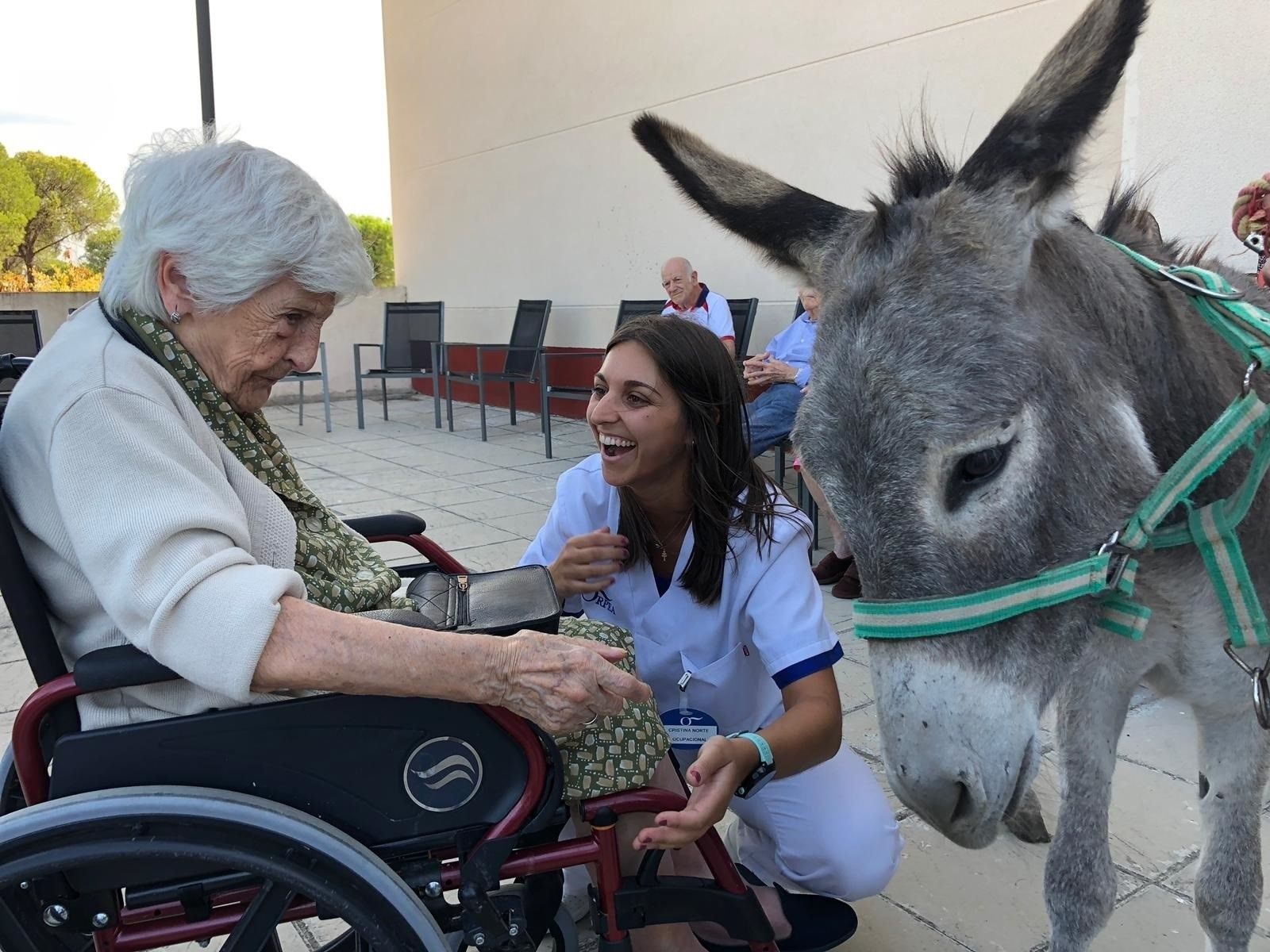 La Asociación Burrito Feliz entrena a burros como 'terapeutas' de enfermos de alzhéimer