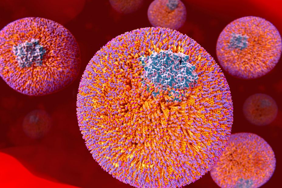 ¿Cuál es la diferencia entre los triglicéridos y el colesterol?