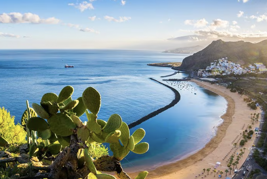 Descubre un mundo de emociones con MSC Cruceros Descubre un mundo de emociones con MSC Cruceros