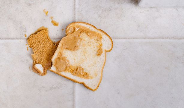 La regla de los 5 segundos si se te cae comida al suelo: ¿podemos fiarnos?
