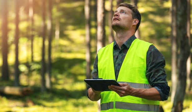 Aumenta la demanda de perfiles vinculados a la sostenibilidad como ingenieros, o auditores