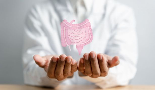 Qué son los prebióticos, en qué alimentos se encuentran y qué hacen por tu salud