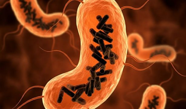 Descubren una nueva entidad biológica que habita en el cuerpo humano