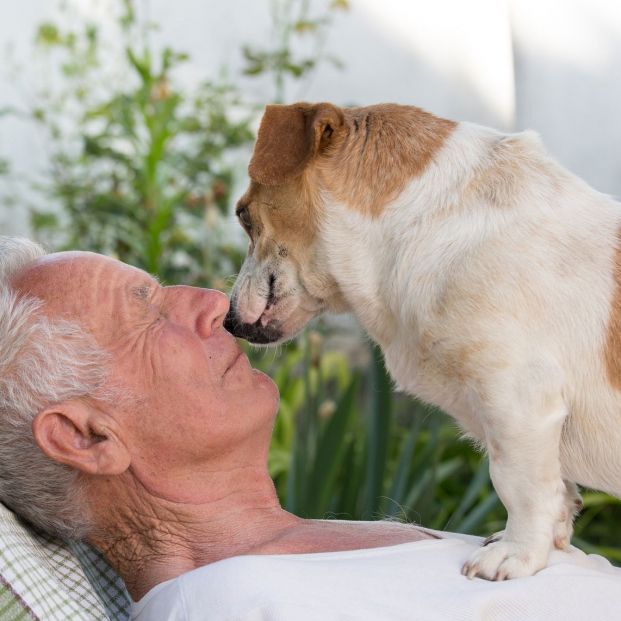 tu perro te quiere