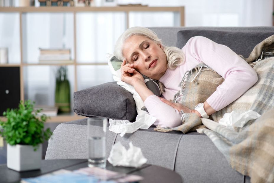 Siesta Siesta