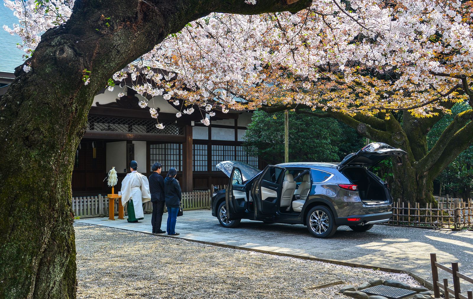Japón impone el frenado automático en los coches de personas mayores