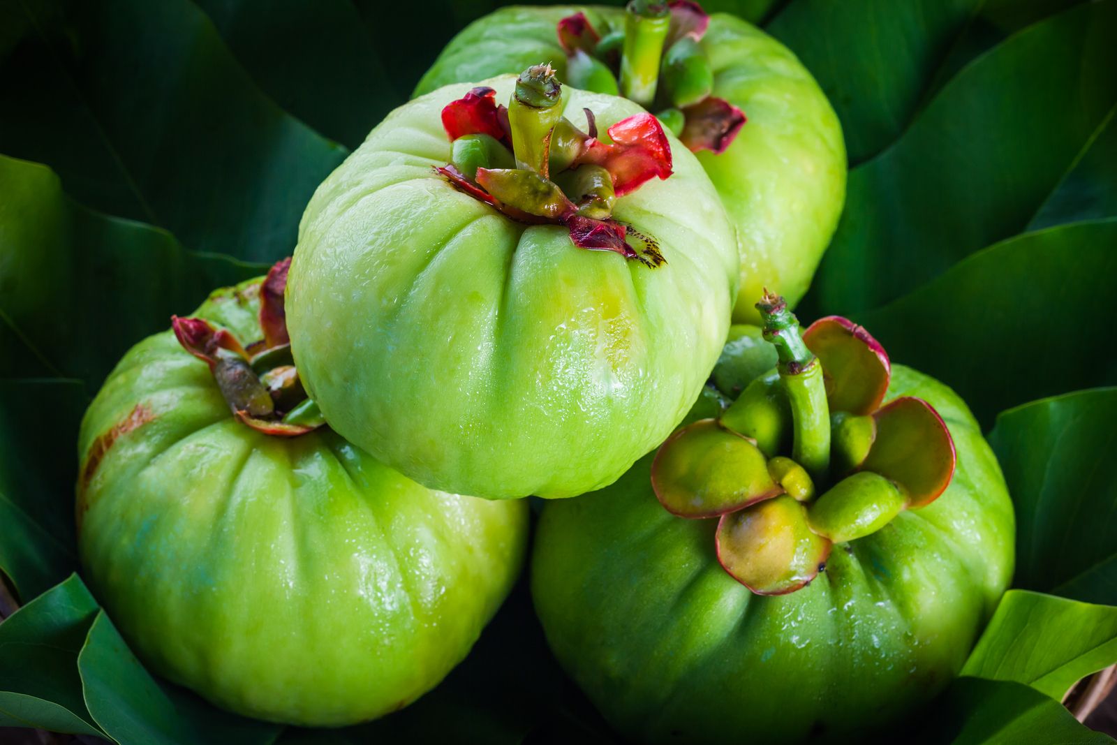 Garcinia cambogia: ¿realmente ayuda a perder peso?