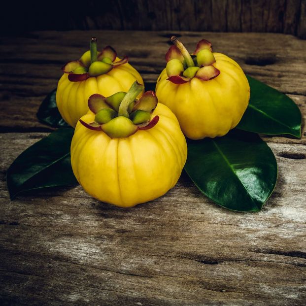 Garcinia cambogia Garcinia cambogia