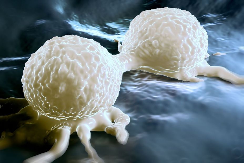 La Comisión Europea aprueba Kisqali de Novartis para pacientes con cáncer de mama La Comisión Europea aprueba Kisqali de Novartis para pacientes con cáncer de mama