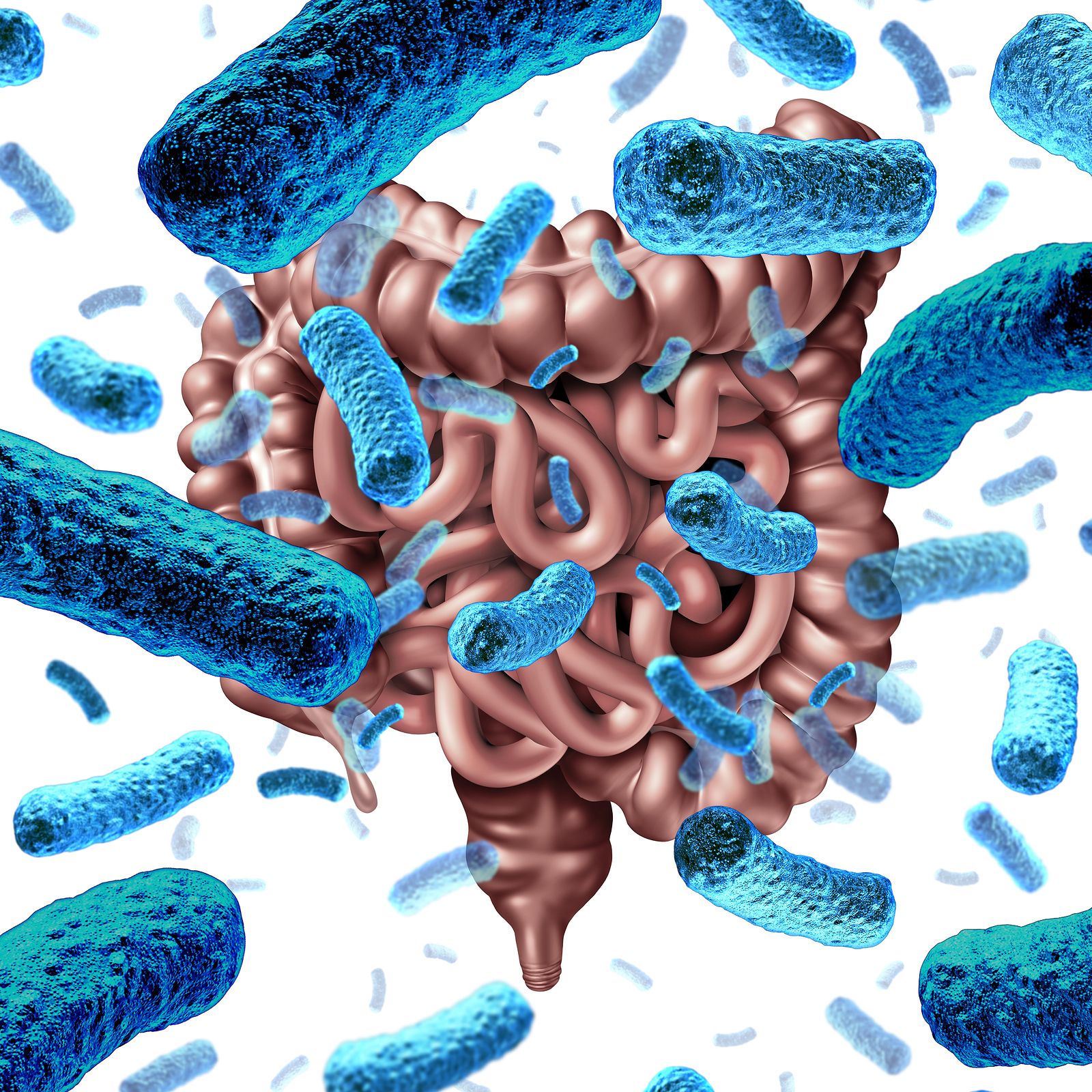 Anaerostipes caccae. La bacteria que podría prevenir las alergias alimentarias