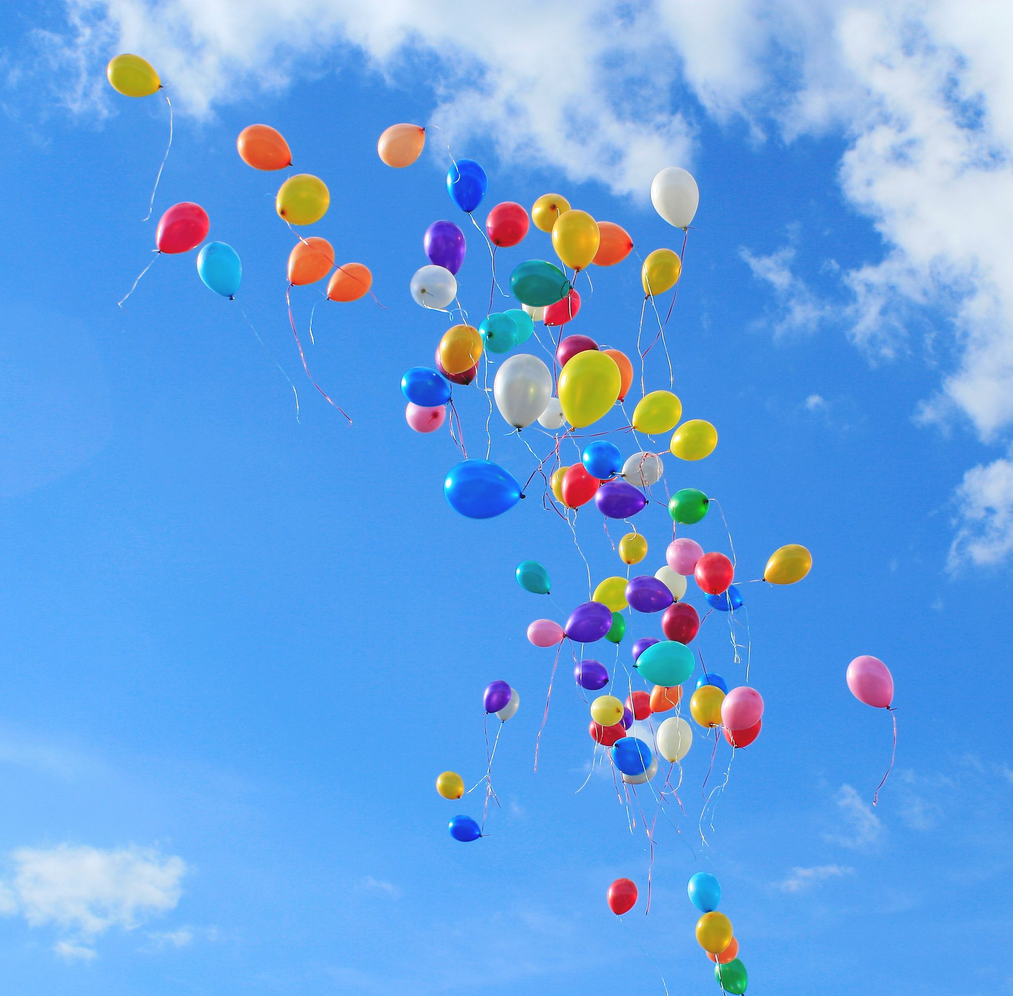 Es una suerte que sobrina milagro Cuáles son los peligros de los globos de plástico