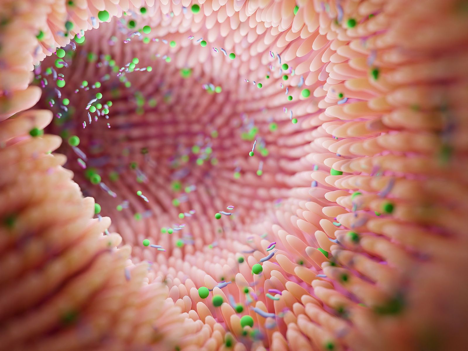 La microbiota intestinal es la clave para una piel saludable: esta es la razón