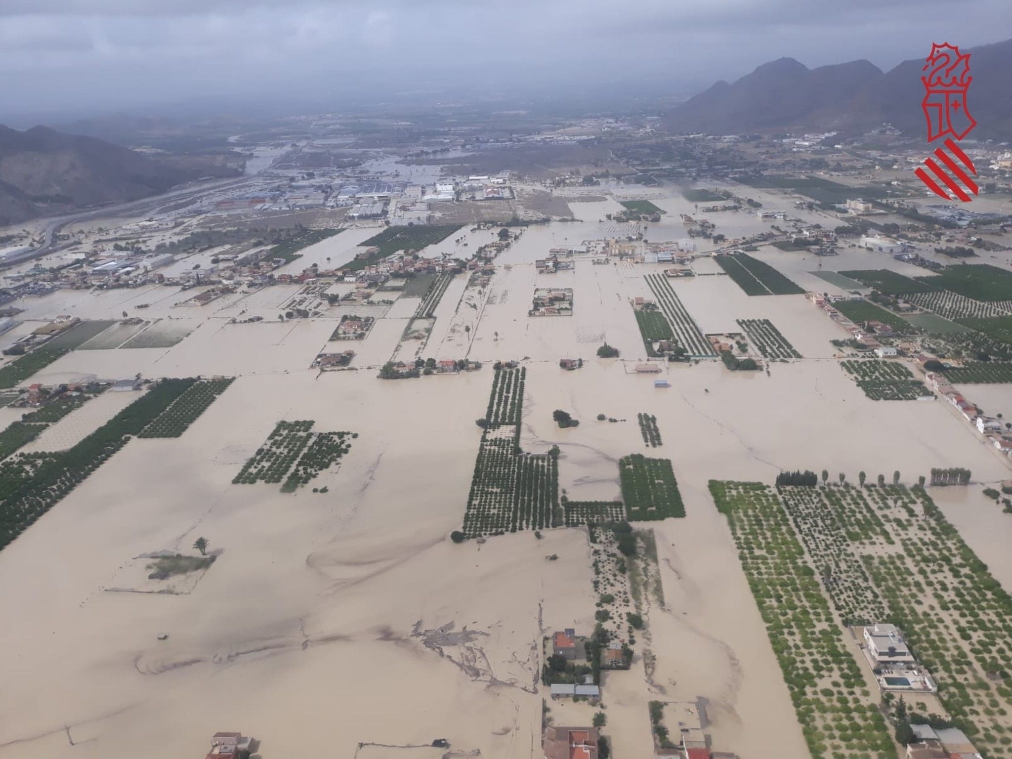 Las lluvias más catastróficas en 140 años dejan al sector agrario de la Vega Baja "arruinado"