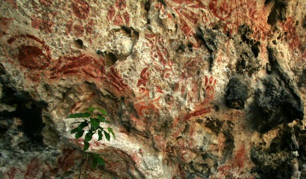 Documentan nuevos grabados y figuras hallados en Altamira
