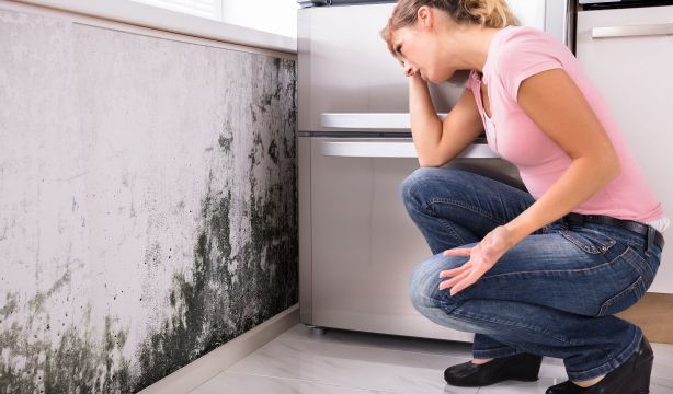 Descubre cómo mantener a raya el moho de tu baño