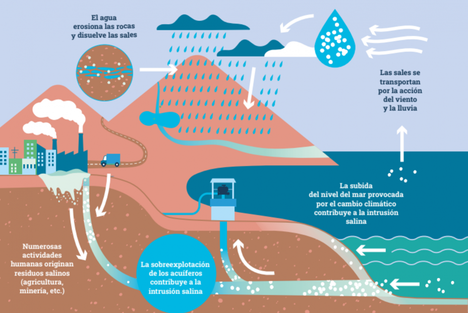 Infografía sobre el ciclo antrópico de la sal. Fuente: CEAB-CSIC Infografía sobre el ciclo antrópico de la sal. Fuente: CEAB-CSIC