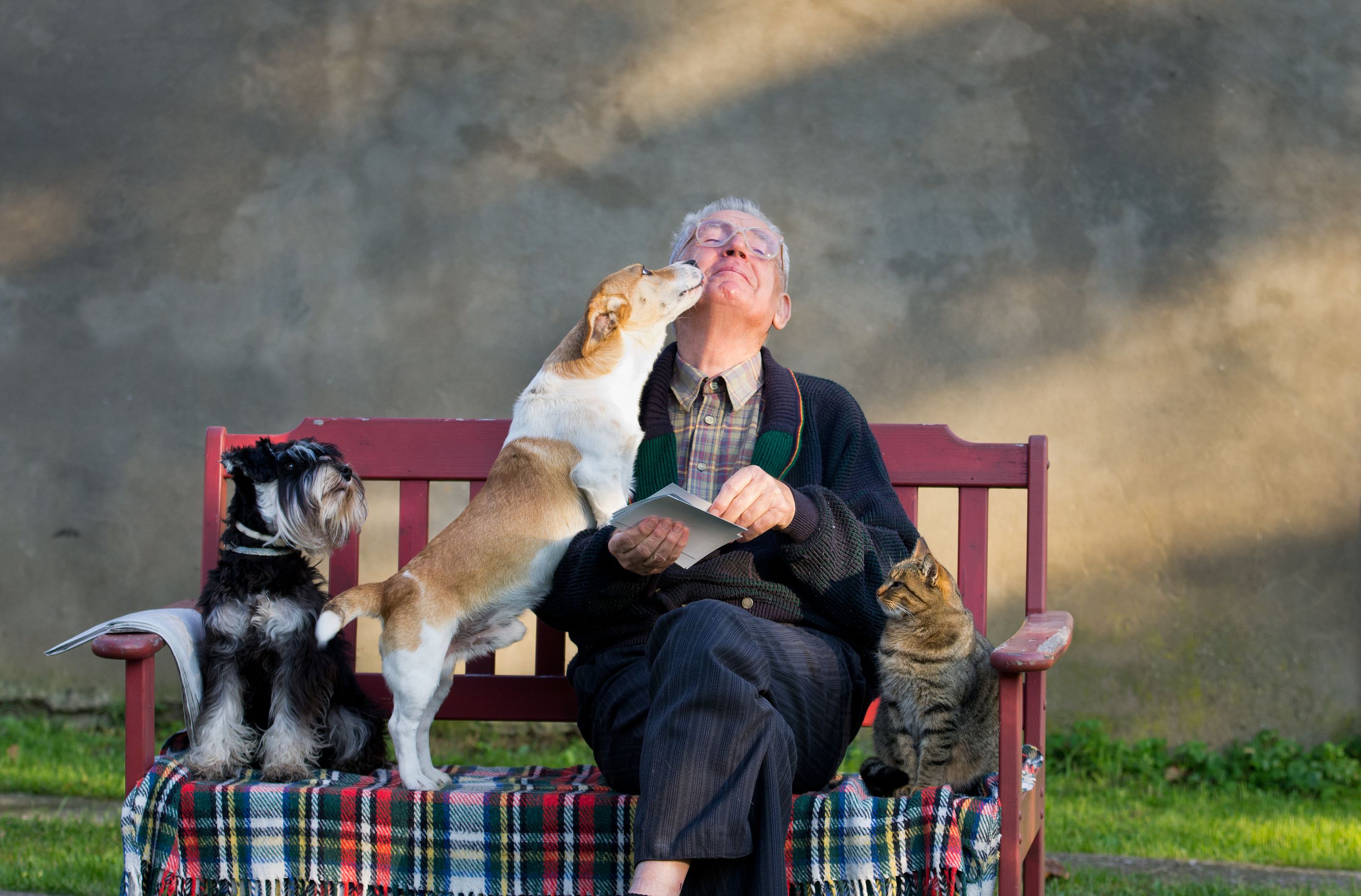 Tener un animal de compañía mejora el bienestar psicológico: aporta estabilidad y reduce la soledad. Fuente: Bigstock
