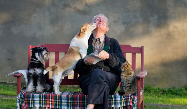 Tener un animal de compañía mejora el bienestar psicológico: aporta estabilidad y reduce la soledad. Fuente: Bigstock