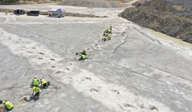 Descubren una 'autopista de dinosaurios': así era