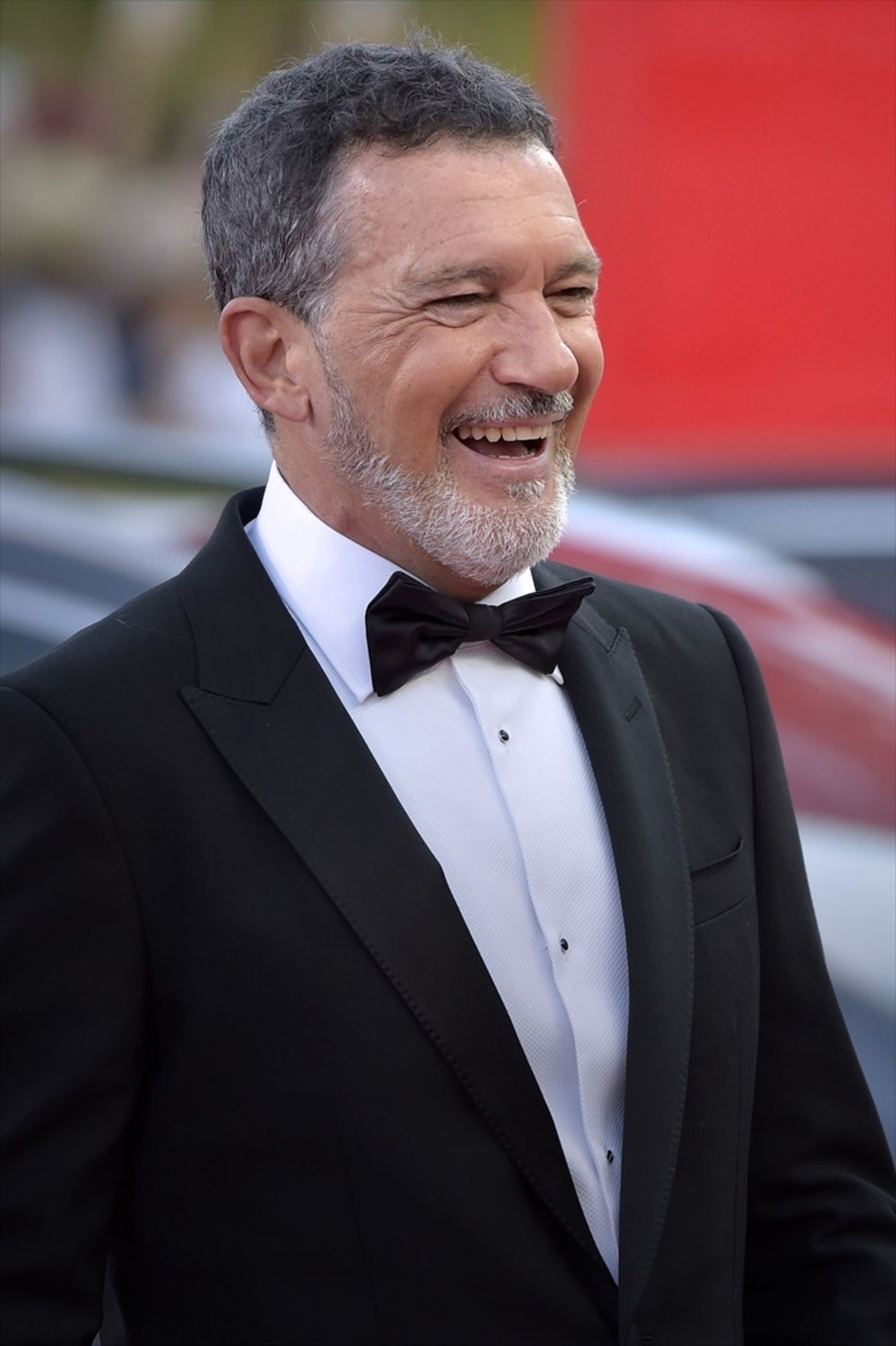 Antonio Banderas, durante la premiere de 'Babygirl', en el Festival de Cine de Venecia (2024). Fuente: Stefano Spaziani / Europa Press