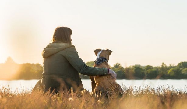 Las cláusulas que puedes poner en el testamento si tienes mascota