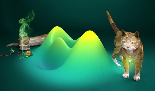 Investigadores llevan al mundo real la metáfora del gato de Schrödinger