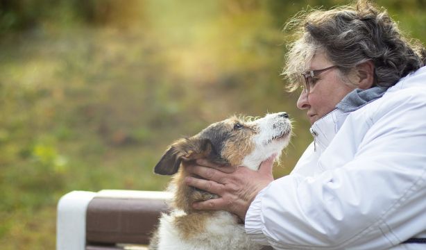 Estas son las razas españolas de perros que están en peligro de extinción
