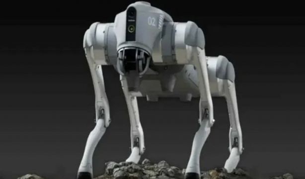 Heibao 2.0: El perro robot chino que supera la velocidad humana