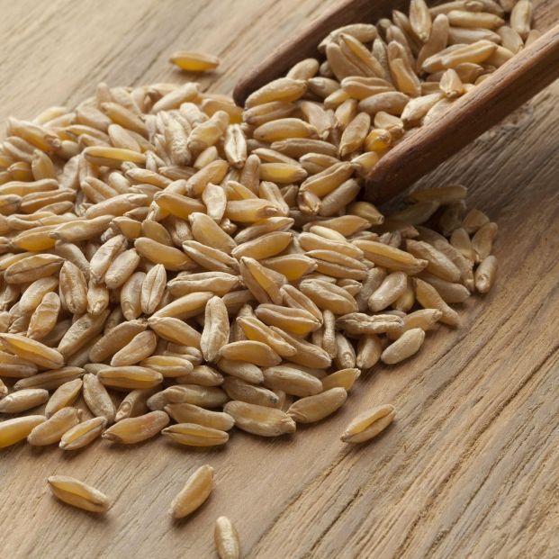 Descubre el trigo kamut y todas sus propiedades