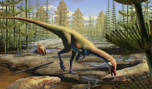 Los primeros dinosaurios podrían estar ocultos en la Amazonia