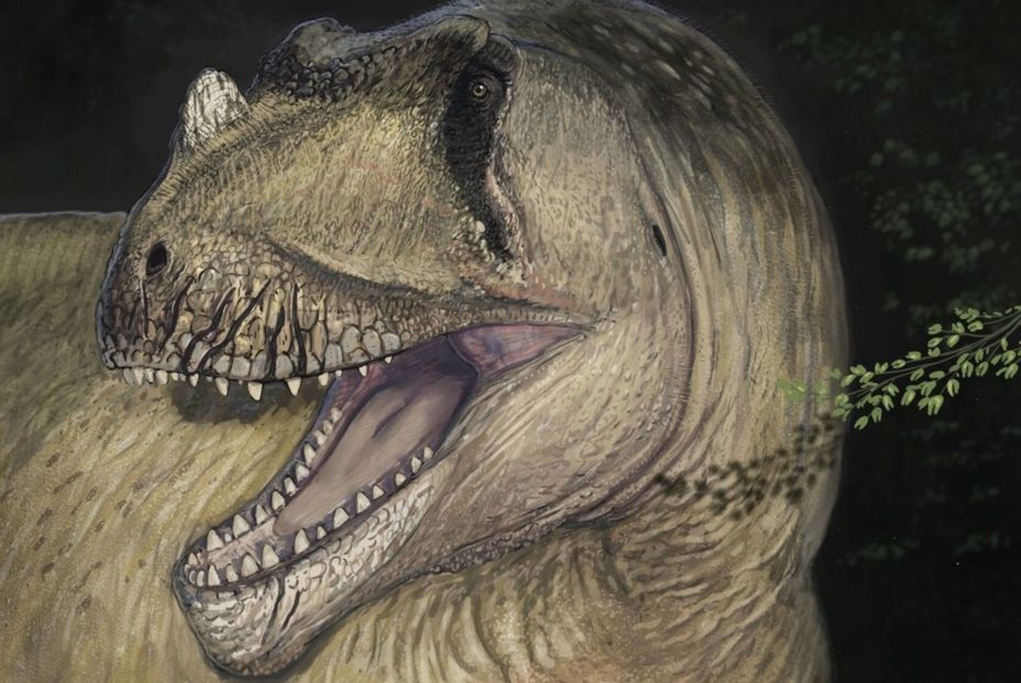 EuropaPress. Los primeros dinosaurios están ocultos en la Amazonia EuropaPress. Los primeros dinosaurios están ocultos en la Amazonia