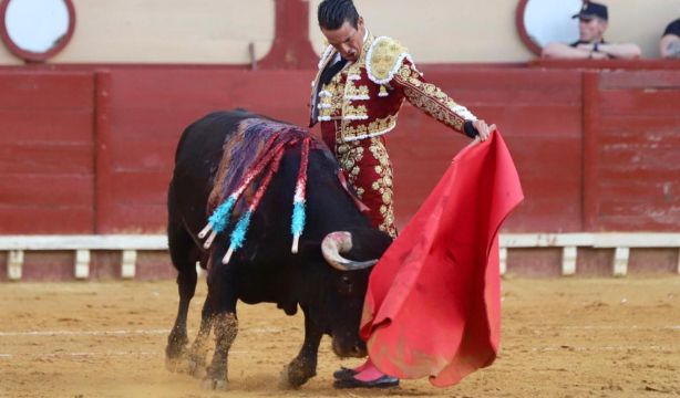 'Toros en El Puerto' reunirá a presidentes del palco de los últimos 50 años
