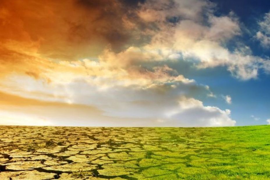 Foto: Bigstock. Foto: Bigstock.