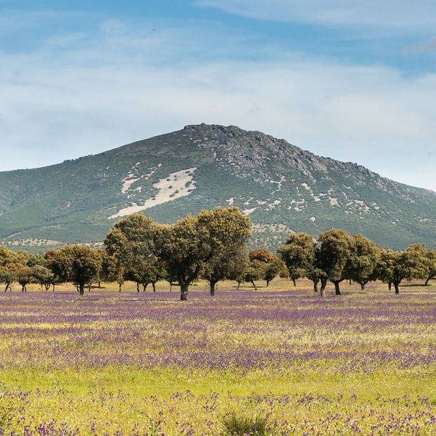 Montes de Toledo