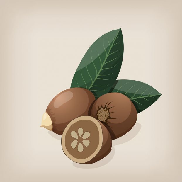 ¿Conoces el aceite de babasú? ¿Conoces el aceite de babasú?