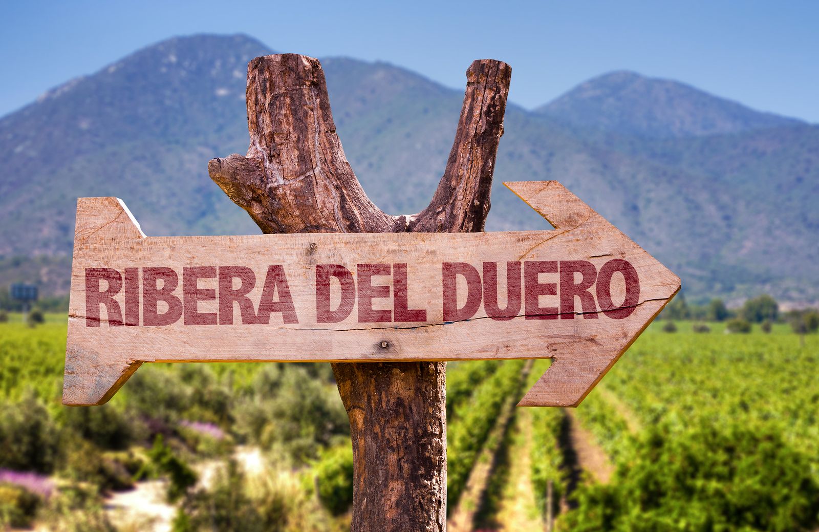 Vuelve El Tren del Vino de Madrid a Valladolid (Bigstock)