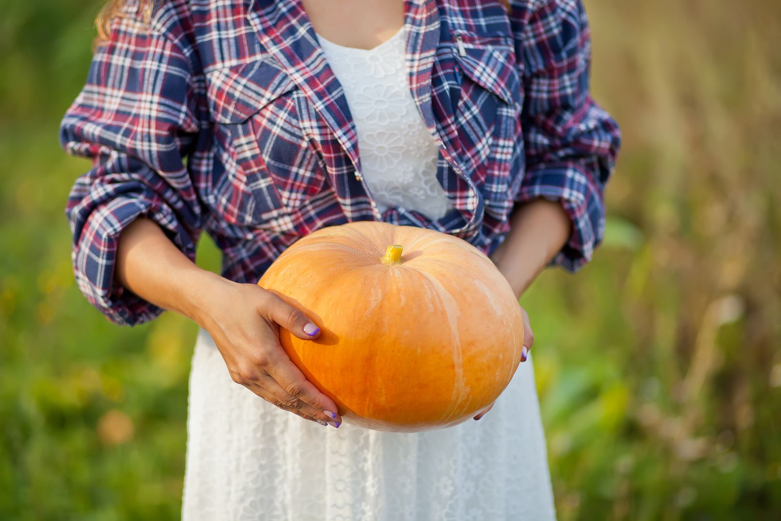 Tiempo de calabaza