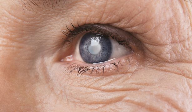 Descubre los 8 nutrientes que transformarán tu salud visual
