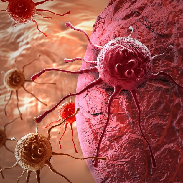 Nueva prueba capaz de detectar tumores en fases tempranas con solo una muestra de sangre Nueva prueba capaz de detectar tumores en fases tempranas con solo una muestra de sangre
