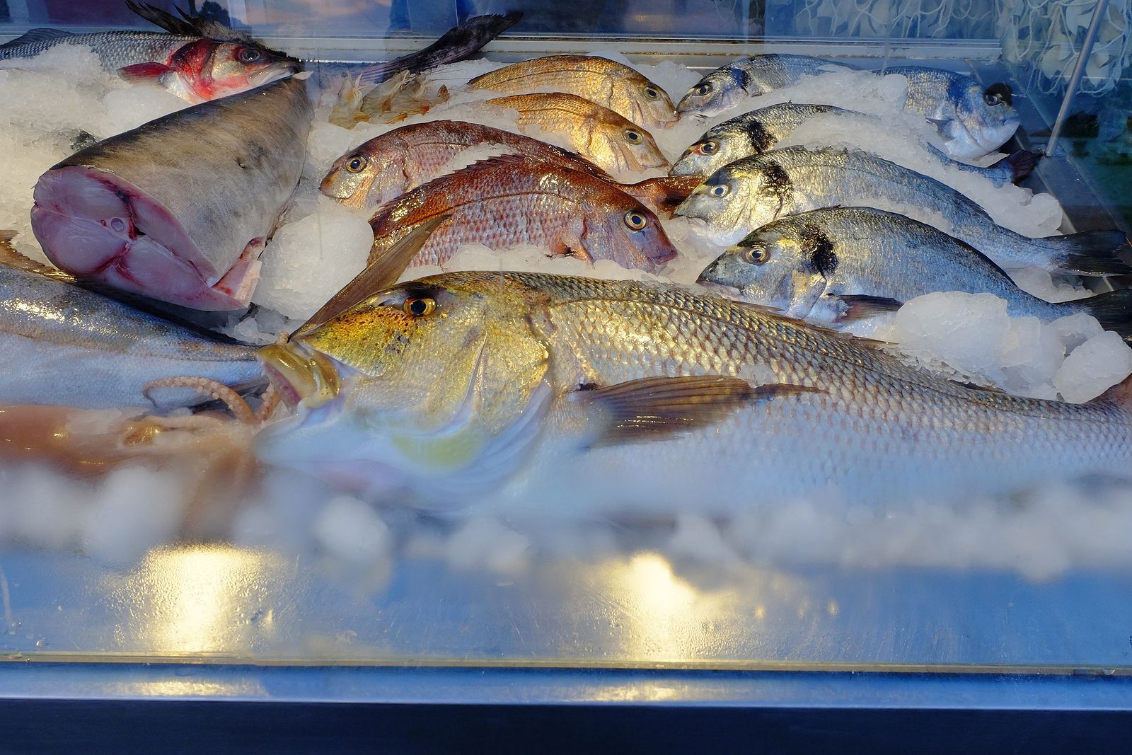 bigstock pescado fresco