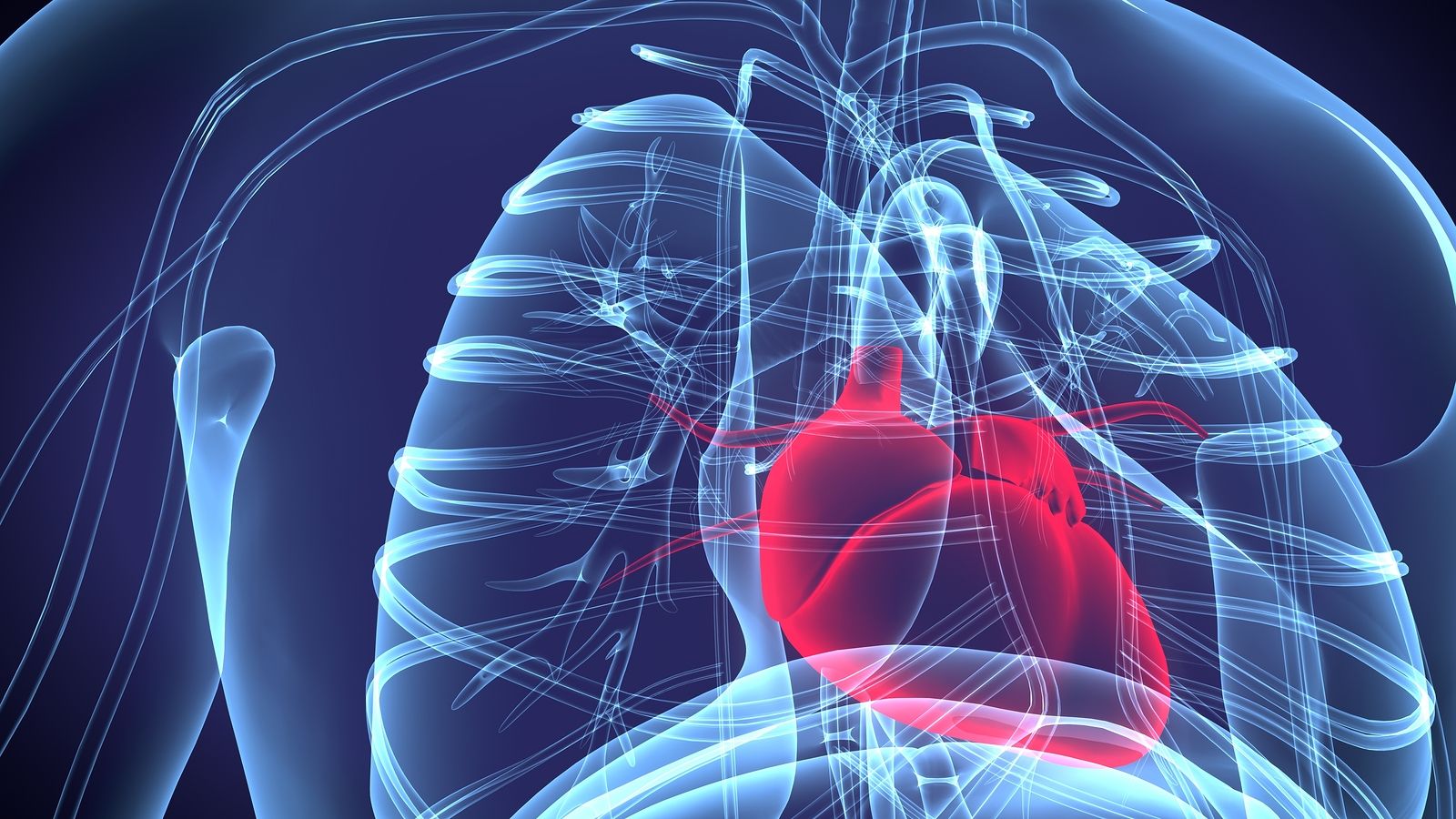 El coronavirus y los daños en el corazón