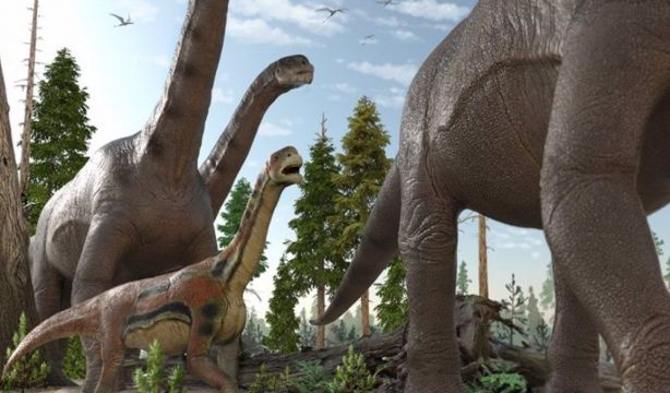 La extinción de dinosaurios fue clave en la evolución de las frutas y los primates: esta es la razón
