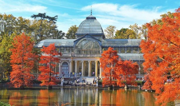 Abiertas las reservas para Pasea Madrid 2025: descubre la ciudad en profundidad