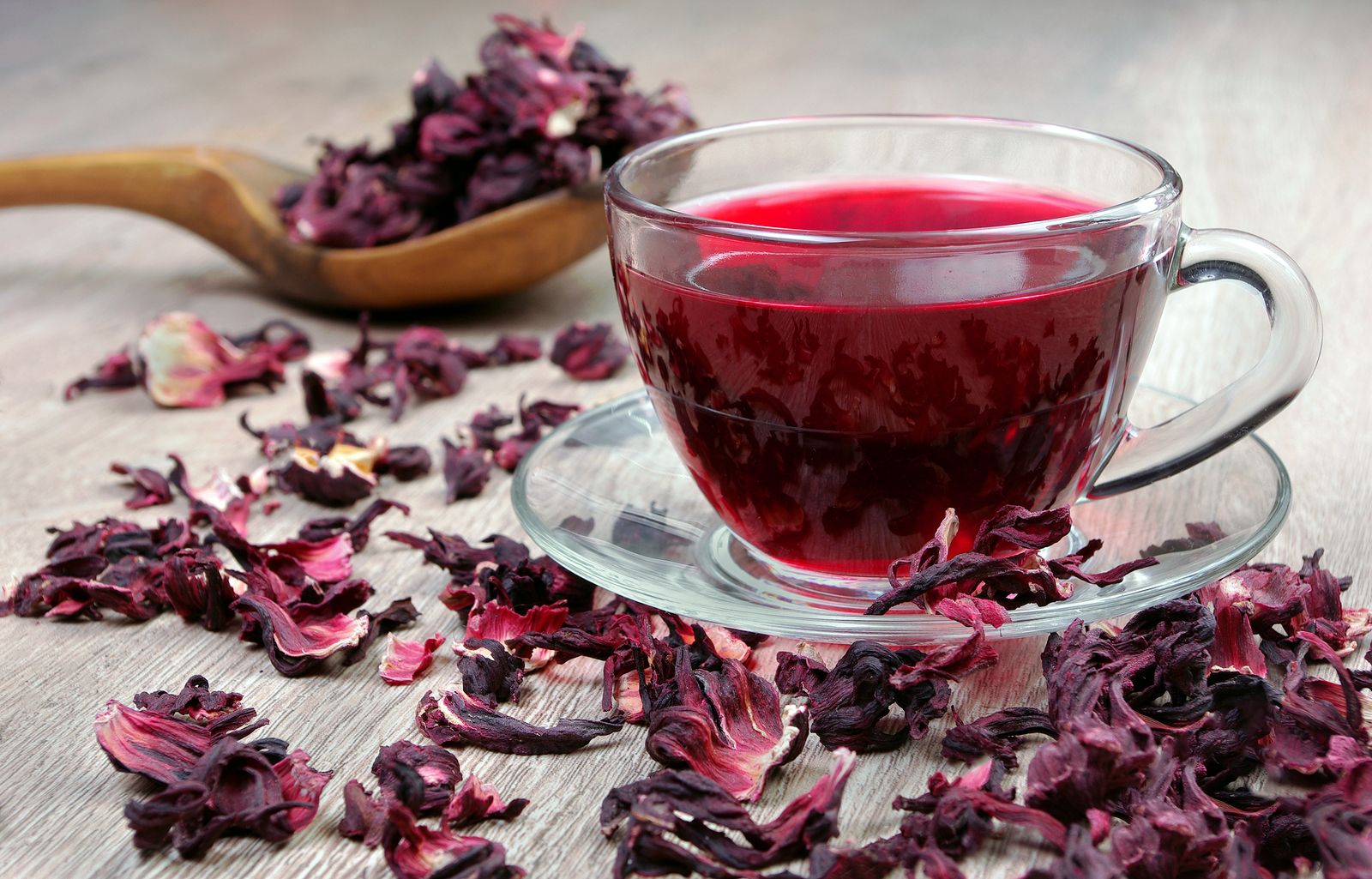 Infusión de hibisco, un arma potente contra las infecciones